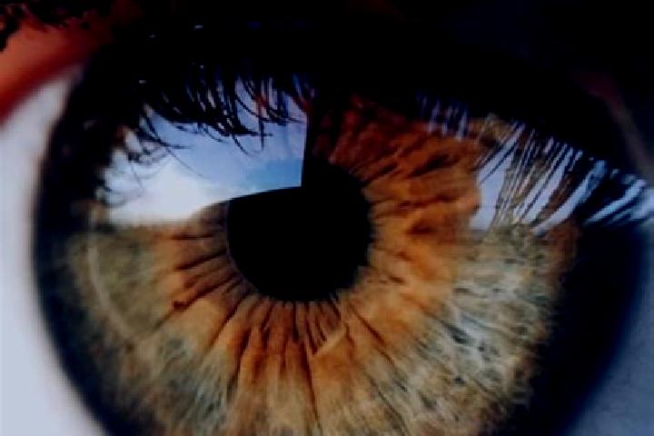 Celexa abilify and wellbutrin and celexa medication