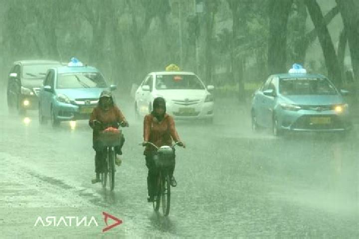 Celexa celexa and magnesium glycinate pharmacy
