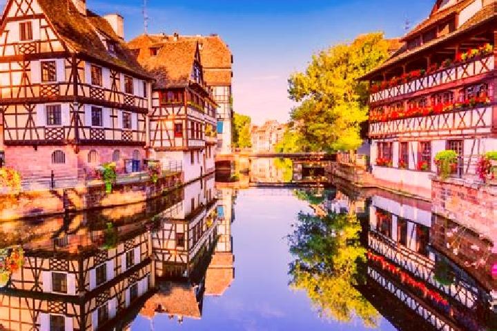 Celexa celexa beer pills