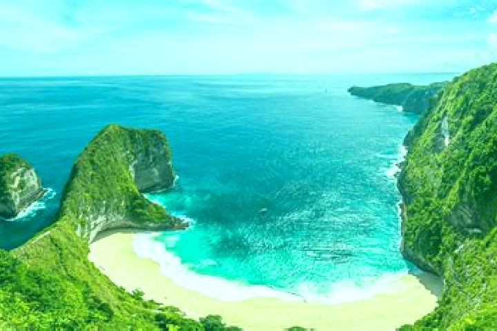 Celexa celexa for medication