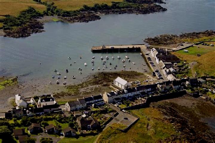 Celexa celexa morning or night reddit pills