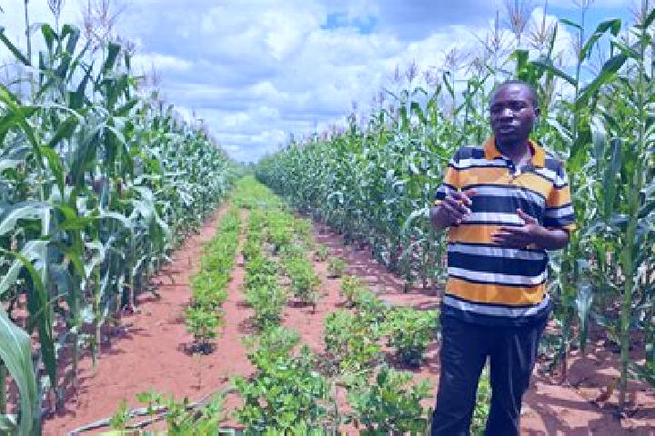 Cialis 5 mg cialis enough pharmacy