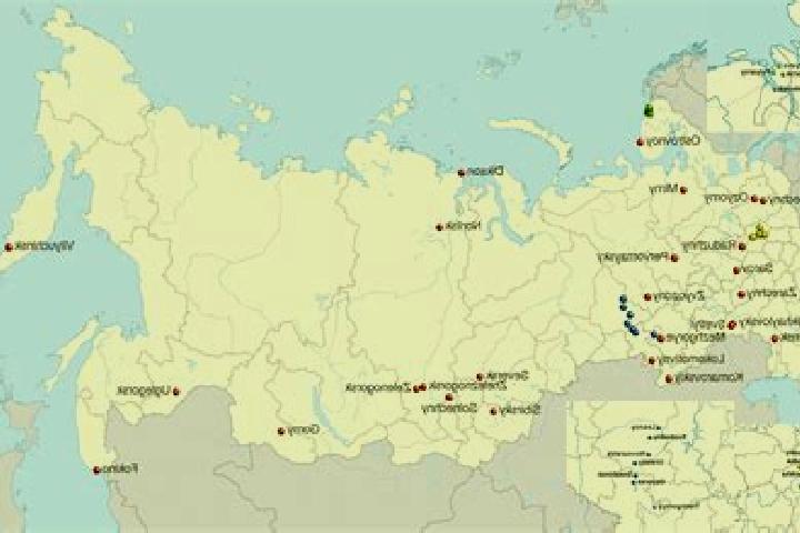 Cialis bodybuilding forum viagra vs cialis site forum.bodybuilding.com pills