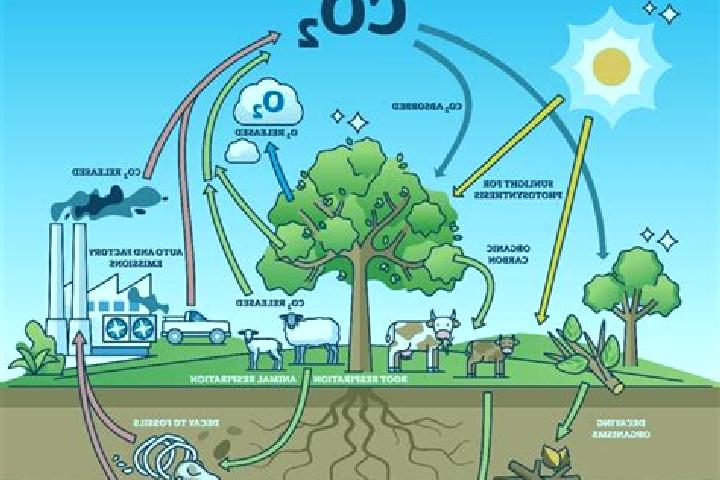 Cialis cialis def tablet