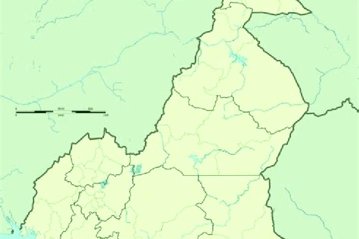 Flagyl flagyl for dog tablet