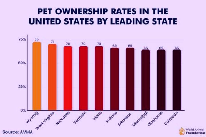 Kamagra buy kamagra oral jelly sydney australia pills