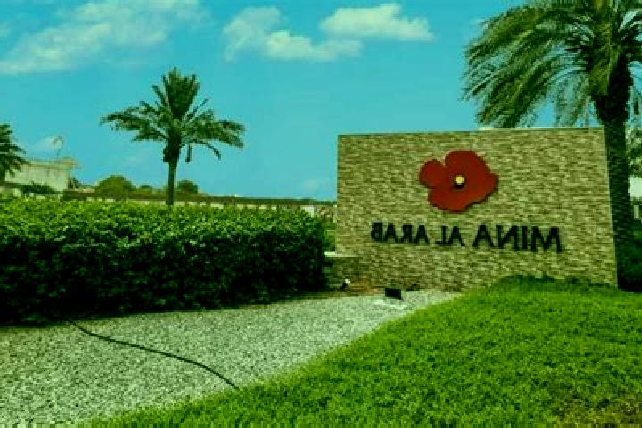 Kamagra kamagra gold100mg tablets pills