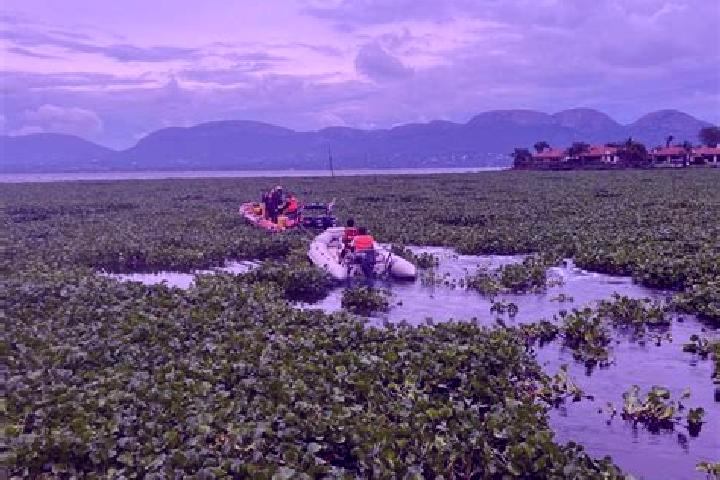 Lasix bumetanide bumex torsemide demadex and furosemide lasix pills