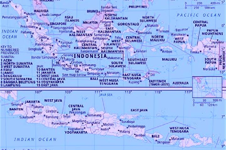 Lasix is vancomycin and lasix compatible medication