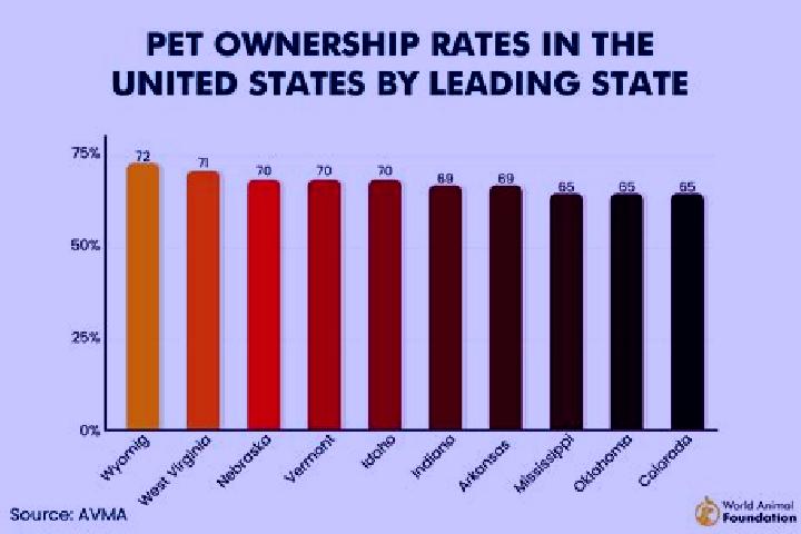 Lasix lasix rob holland medication