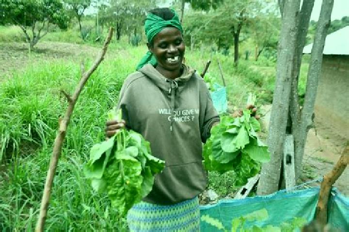Prednisolone can feel good with pmr if correct dose of prednisolone medication