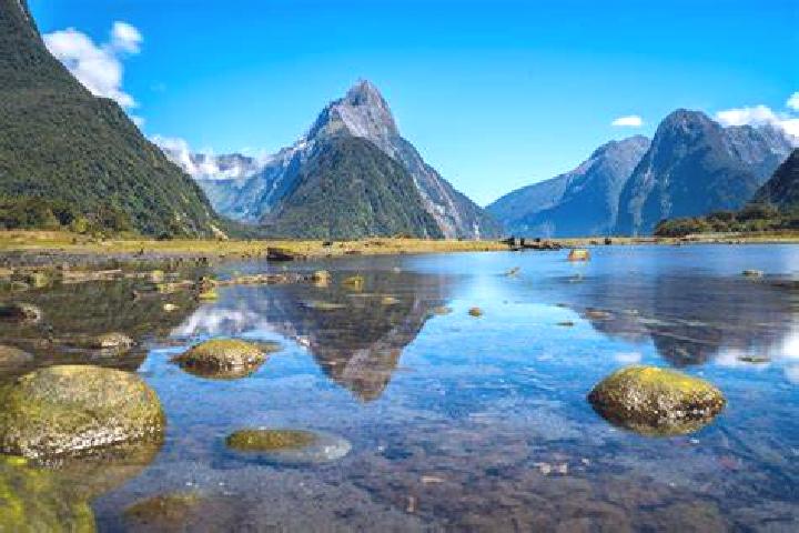 Prednisolone prednisolone dose allergy pharmacy