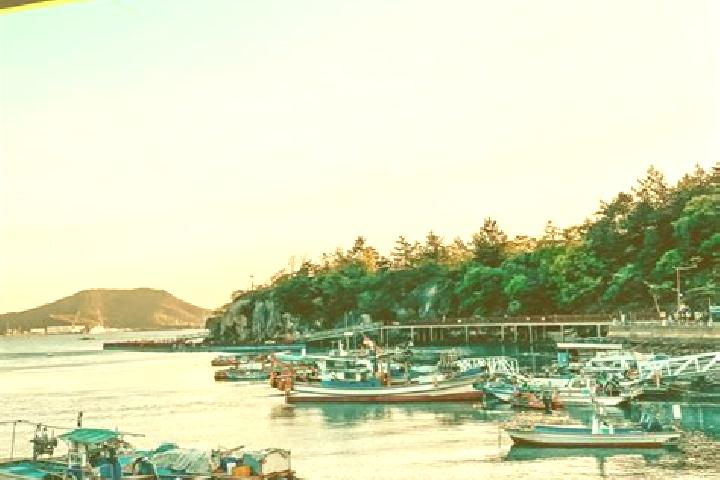 Propecia alexis ohanian propecia pharmacy