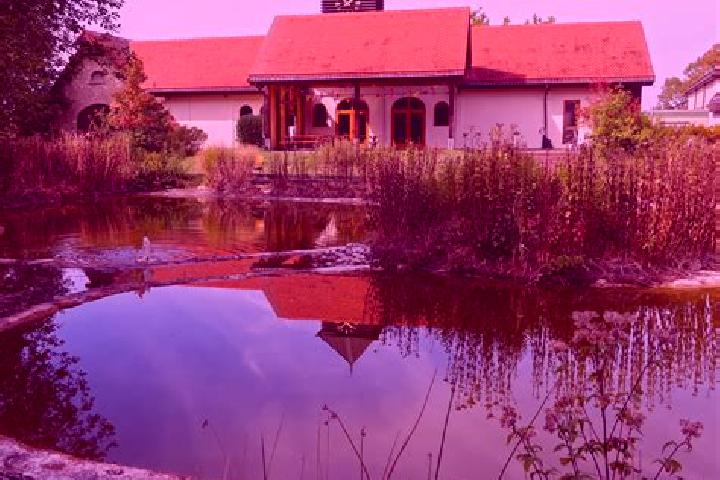 Provigil klonopin and provigil medication