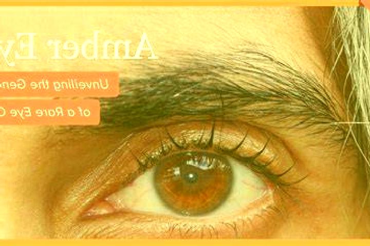 Provigil provigil 200 mg vs adderall pills
