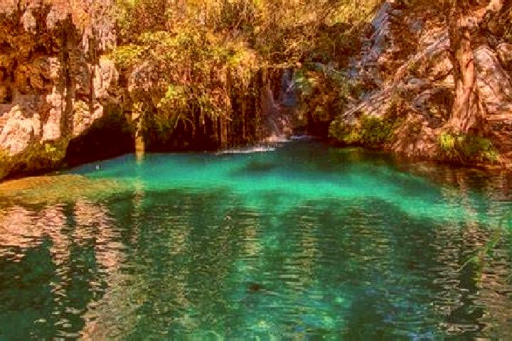 Viagra chemist direct viagra tablet