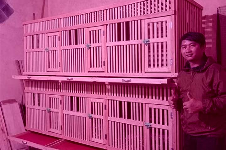 Viagra is it safe to take 2 50mg viagra tablet