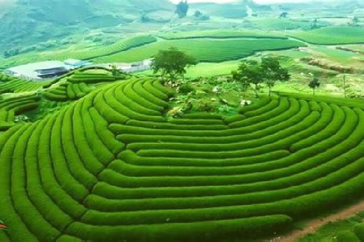 Xenical xenical orlistatum pharmacy
